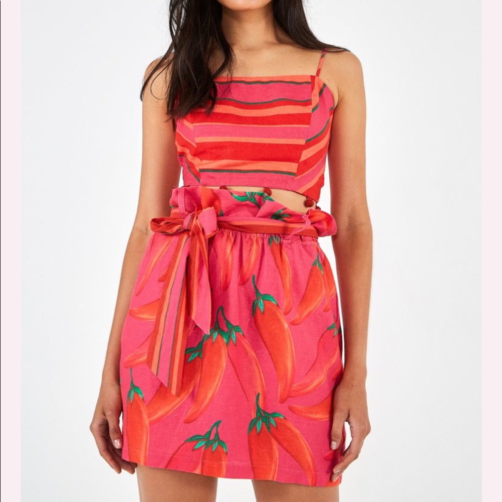 Anthropologie FARM Rio skirt Sz XS